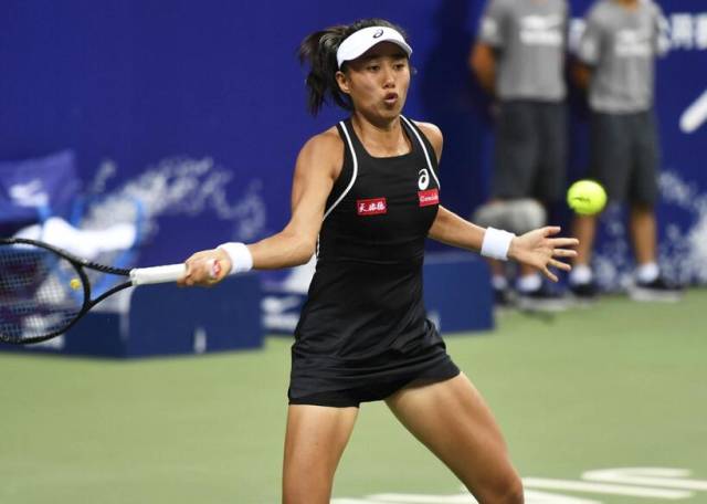 自升入德甲 自升入德甲